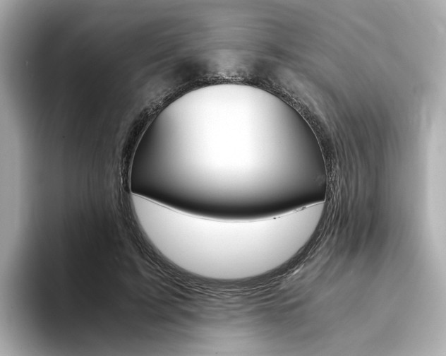 X0000094370595200711020755