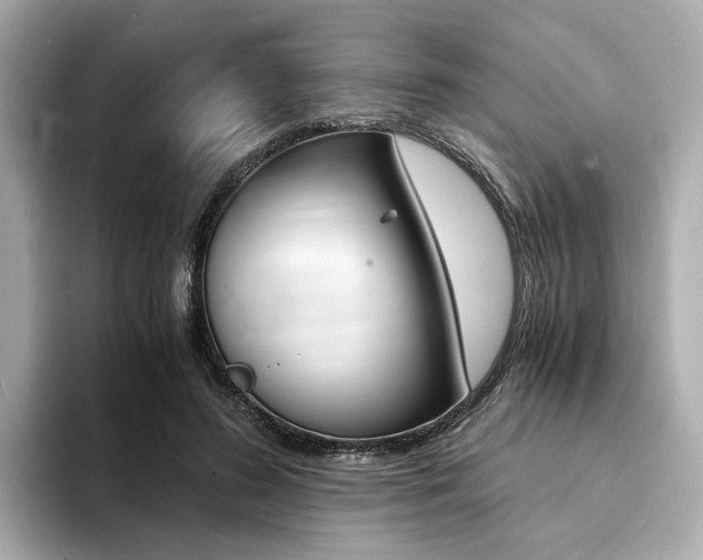 X0000094370596200711020755
