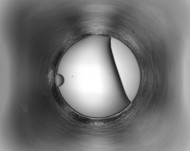 X0000094370598200711020755