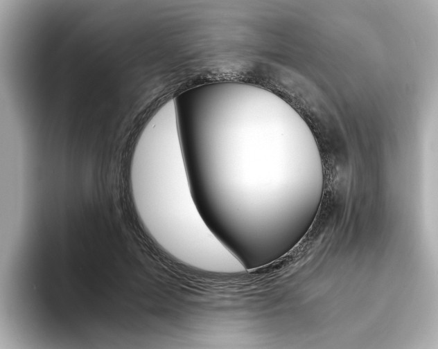 X0000094370599200711020755