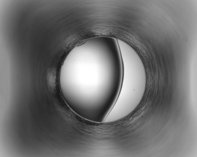 X0000094370600200711020755