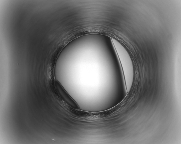 X0000094370604200711020755