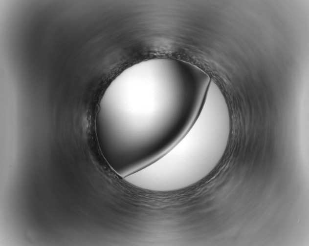 X0000094370608200711020755
