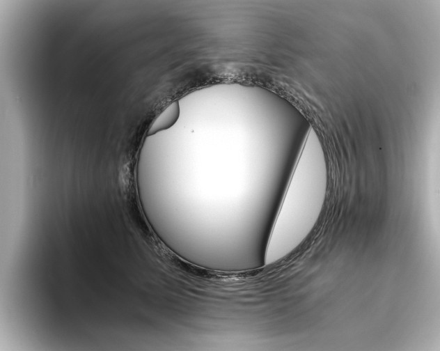 X0000094370611200711020755