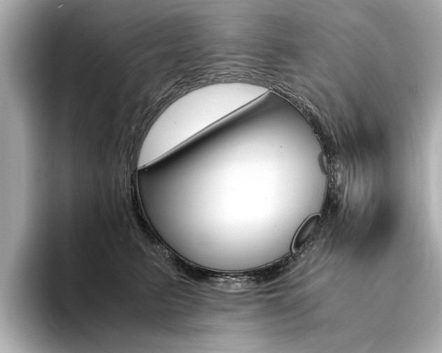 X0000094370615200711020754