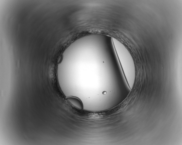 X0000094370616200711020754