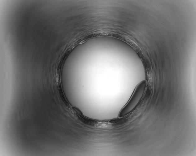 X0000094370617200711020754