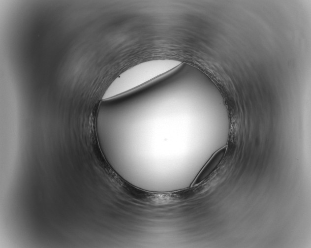 X0000094370623200711020754