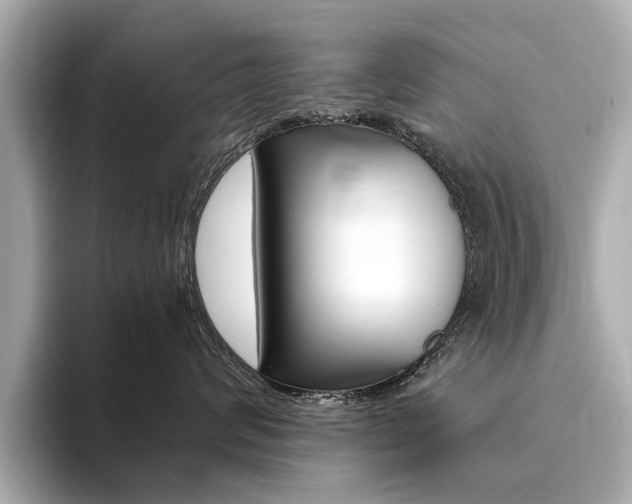 X0000094370624200711020754