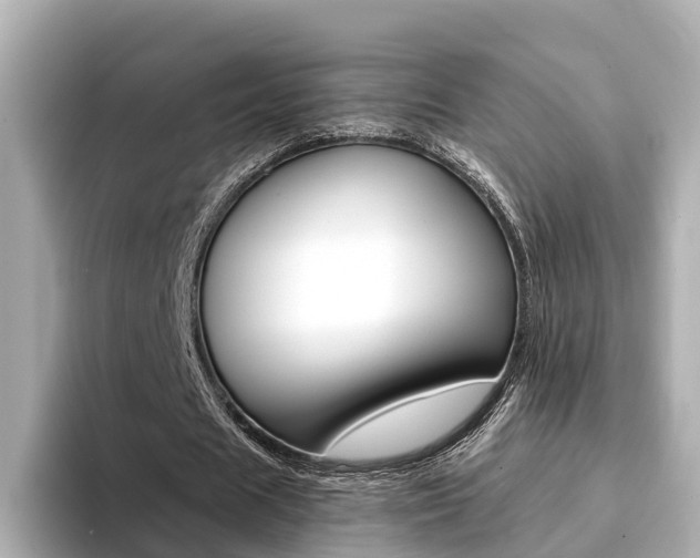 X0000094370625200711020754