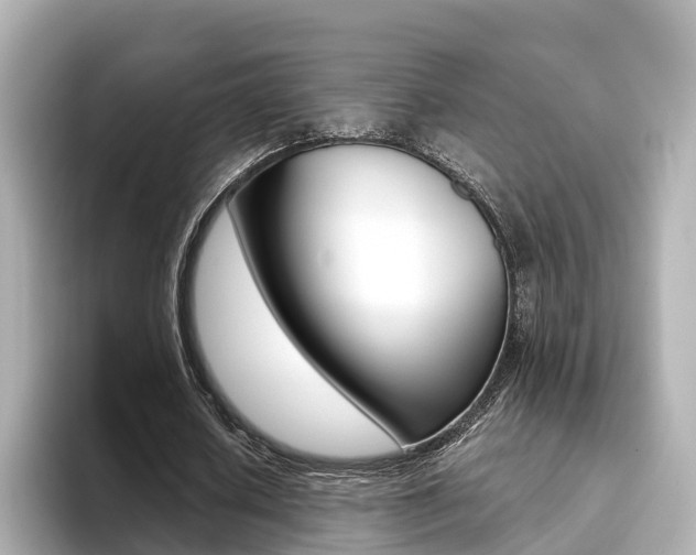 X0000094370626200711020754