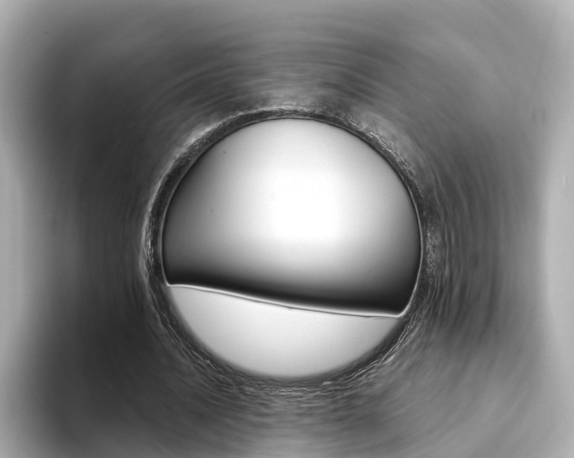 X0000094370628200711020754