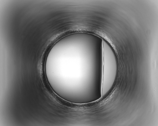 X0000094370629200711020754