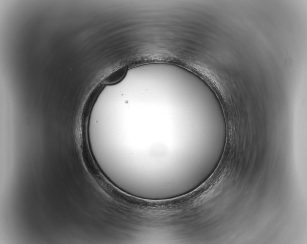 X0000094370630200711020754