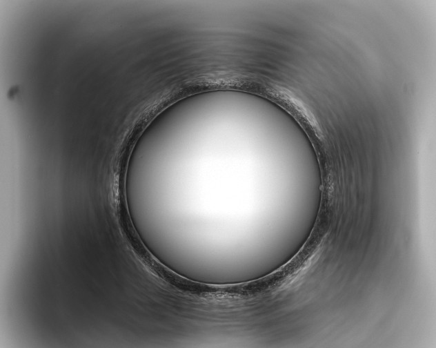 X0000094370633200711020754