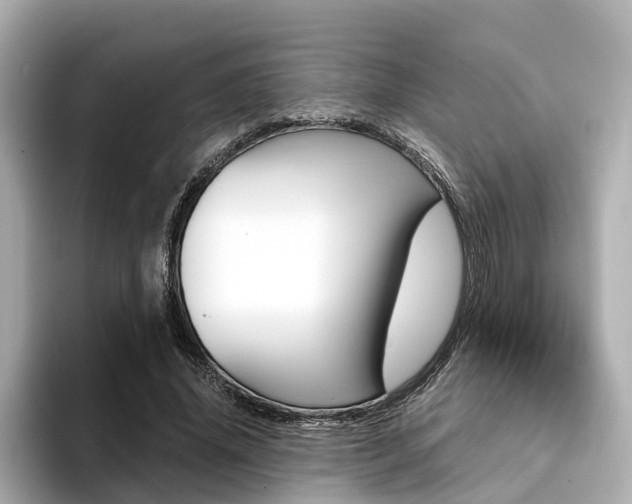 X0000094370636200711020754
