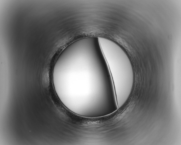 X0000094370638200711020754