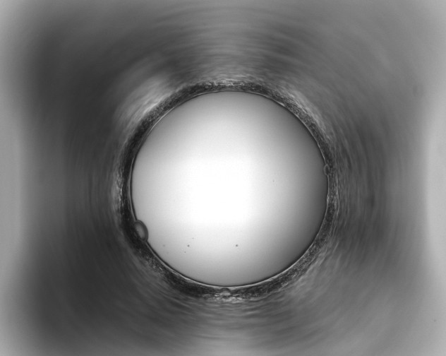 X0000094370640200711020754