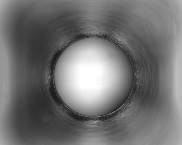 X0000094370642200711020754
