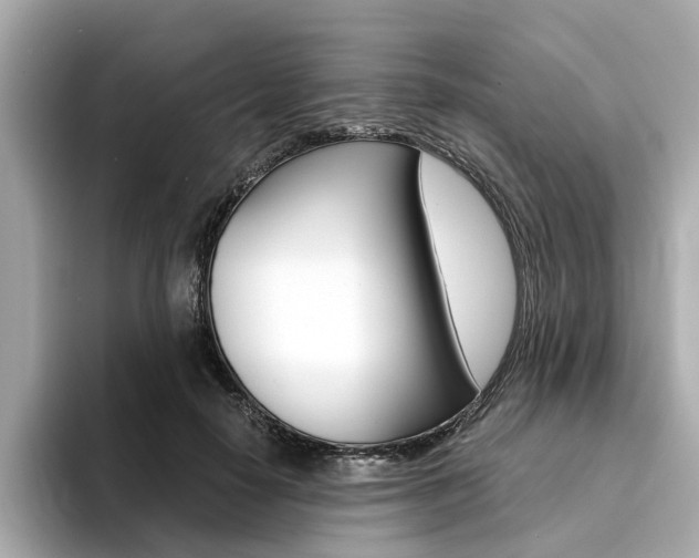 X0000094370650200711020754