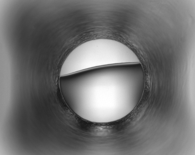 X0000094370657200711020754