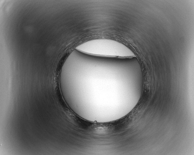X0000094370658200711020754