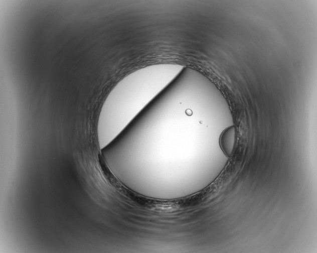 X0000094370659200711020754