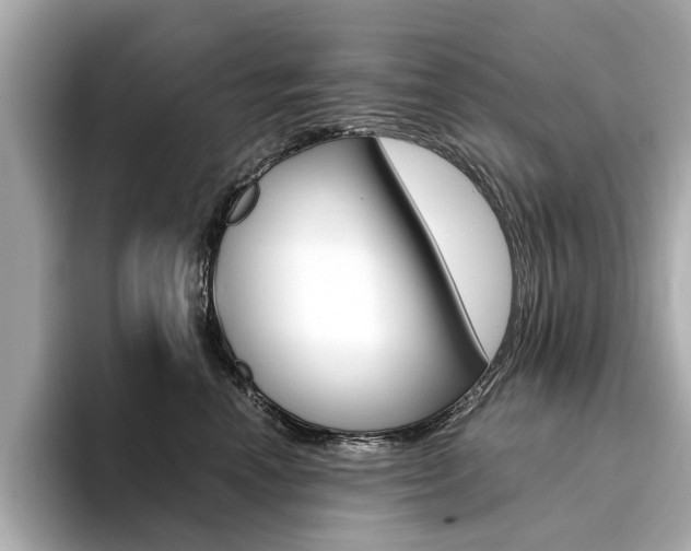 X0000094370666200711020754