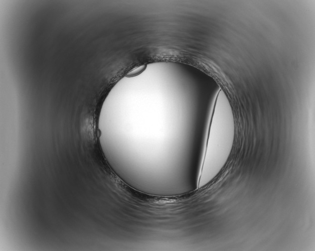 X0000094370669200711020754