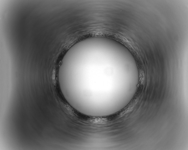 X0000094370670200711020754