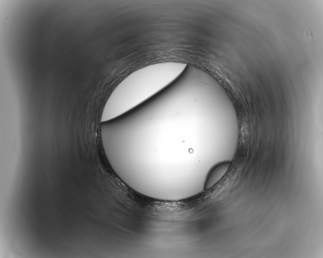 X0000094370671200711020754