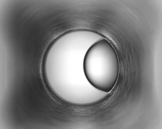 X0000094370677200711020754