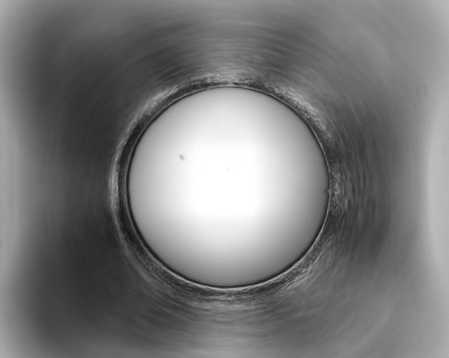 X0000094370678200711020754