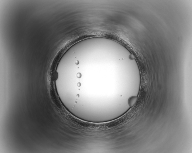 X0000094370679200711020754