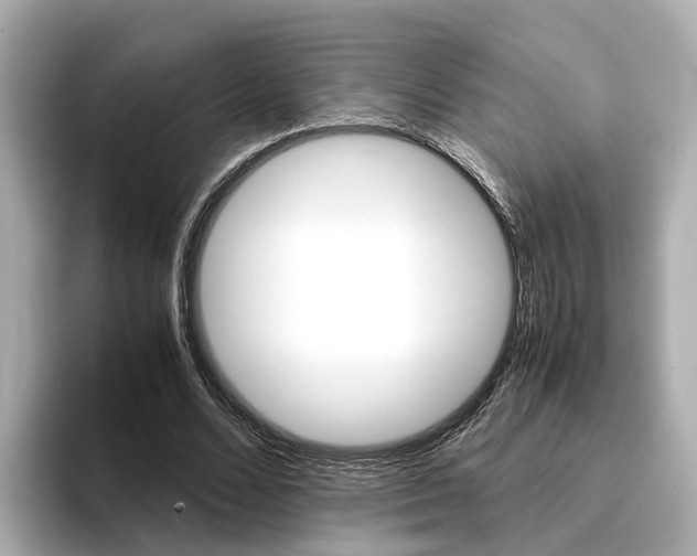 X0000094370680200711020754