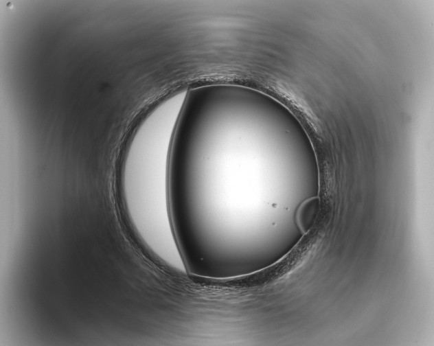 X0000094370681200711020754