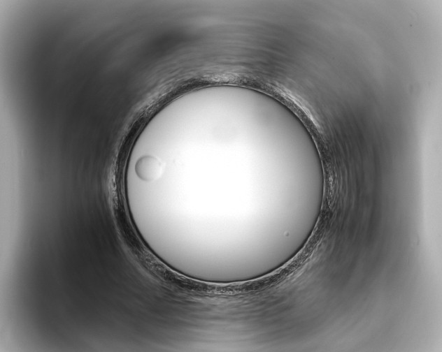 X0000094370682200711020754
