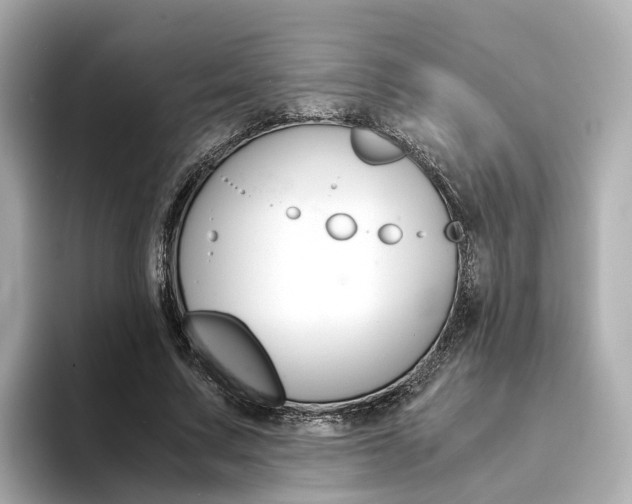 X0000094370683200711020754
