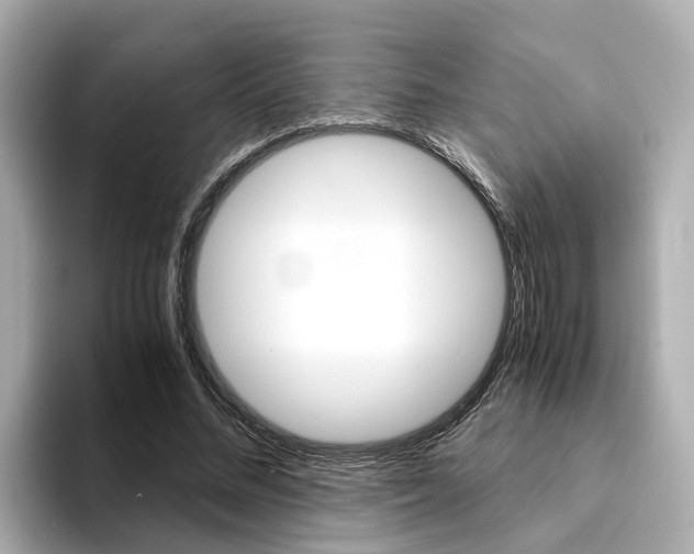 X0000094370684200711020754