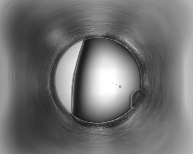 X0000094370685200711020754