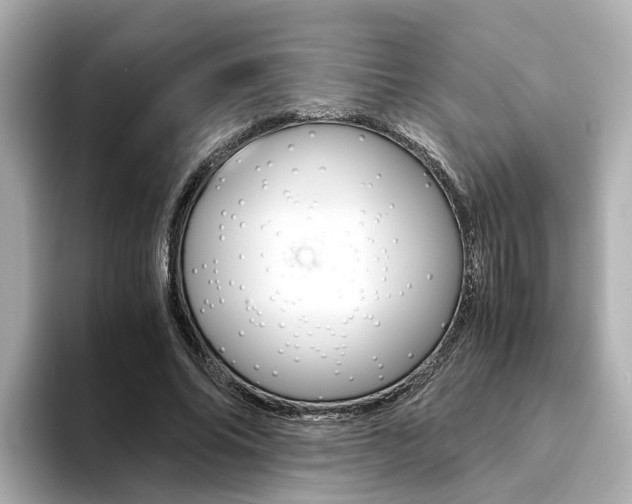 X0000094370686200711020754