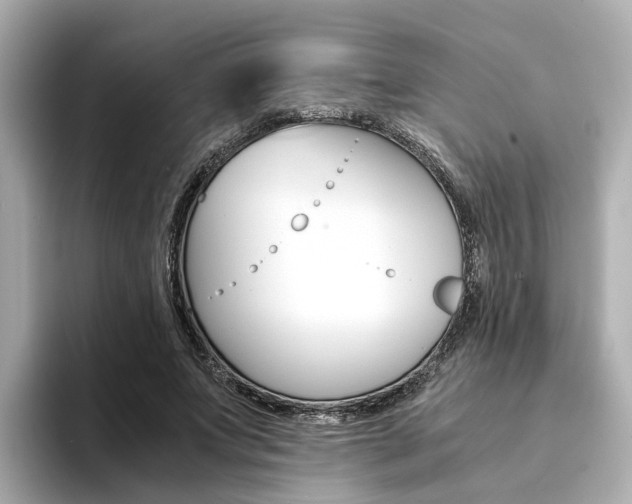 X0000094370687200711020754