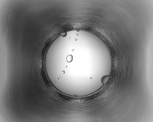 X0000094370691200711020754