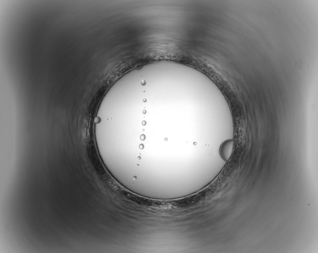 X0000094370695200711020753