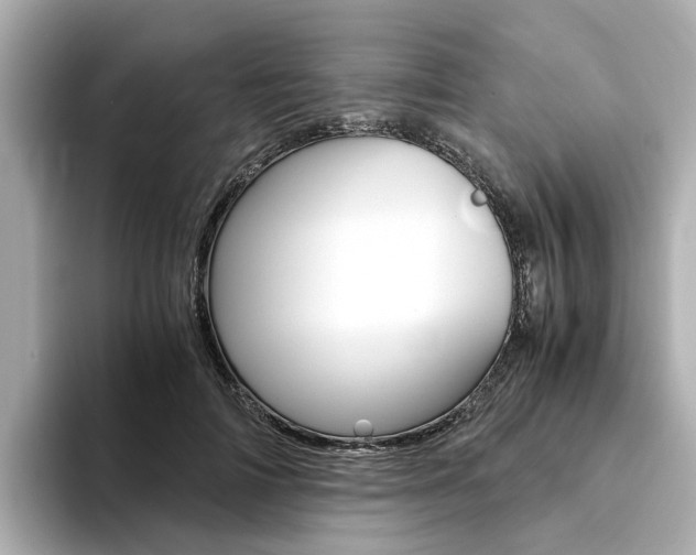 X0000094370698200711020753