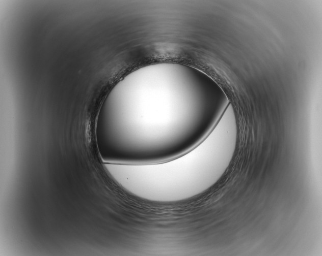 X0000094370700200711020753
