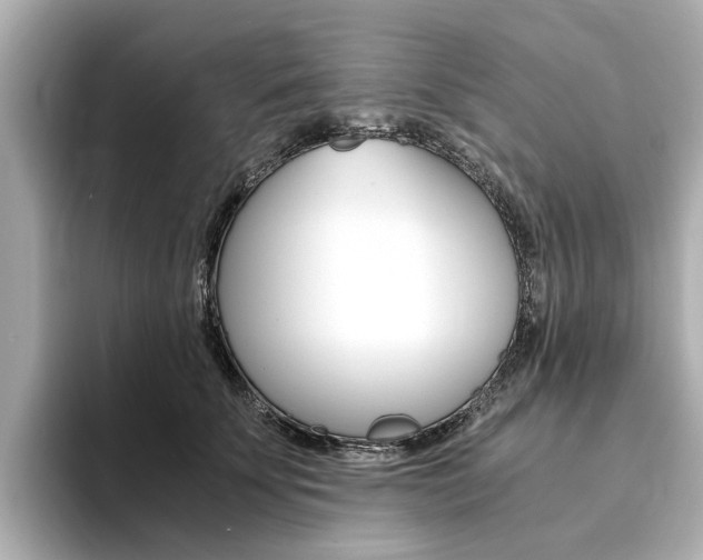X0000094370707200711020753