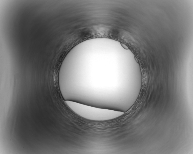 X0000094370709200711020753