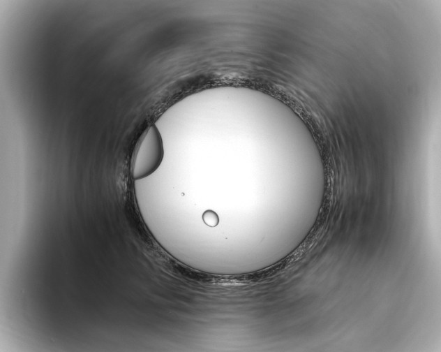 X0000094370710200711020753