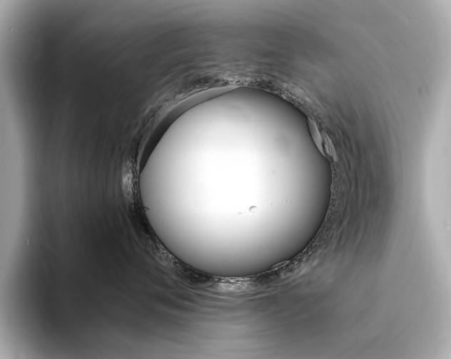 X0000094370720200711020753